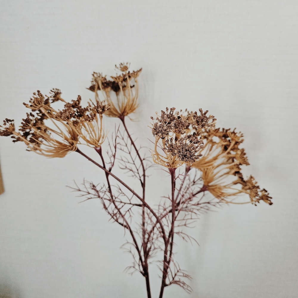 Hearth & Hand Mauve Queen Anne's Mauve Lace Wildflower Stem Set Of 2 - Picture 2 of 4
